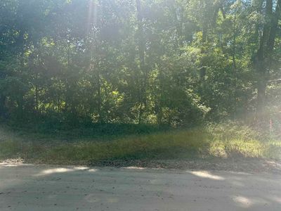 Chicopee Rd, Crawfordville, FL, 32327