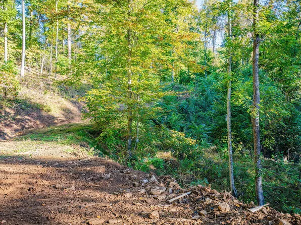 LOT 119 Saratoga Cir, Elizabethton, TN 37643