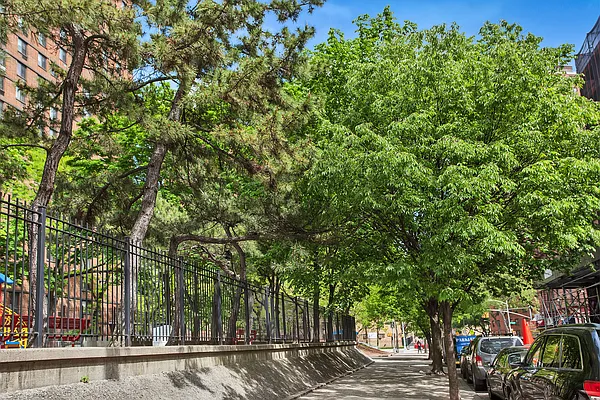 Rented by Douglas Elliman | media 12