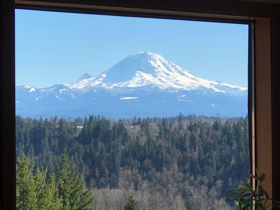 View from the kitchen window