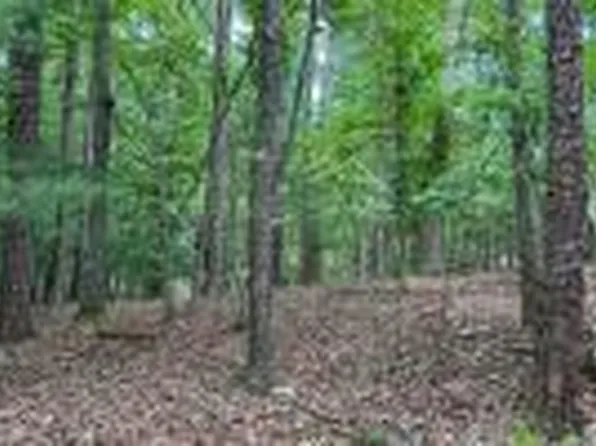 0 Foxhound Dr, Ellijay, GA 30540