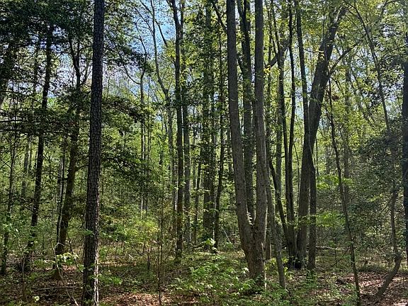 2nd image of LOT 12 Cod Creek Dr