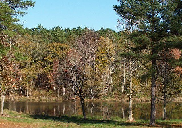 Community pond