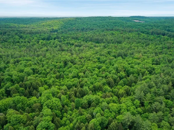 Elpis Rd, Camden, NY 13316