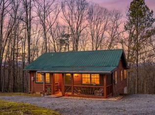 469 Mull Dr, Mineral Bluff, GA 30559