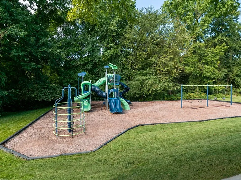 Alvista Bowie — Photo 21