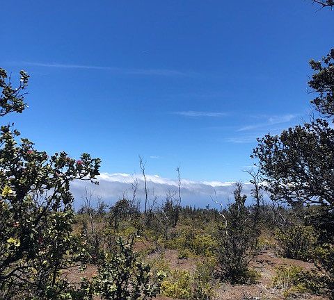2nd image of Pineapple Pkwy Lot 10