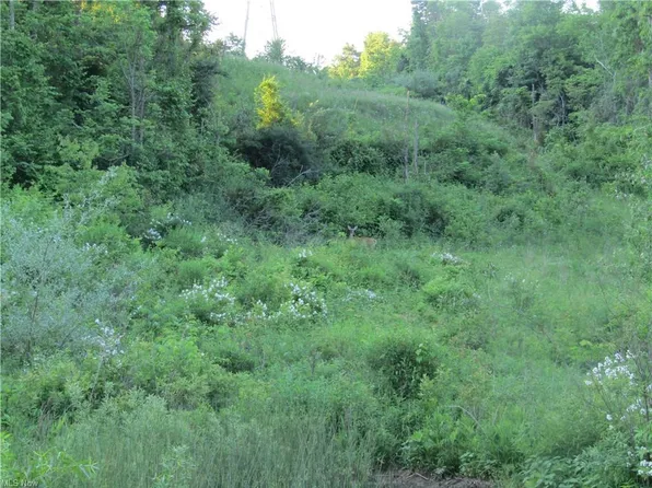 0 Township Road 319 SE, Corning, OH 43730