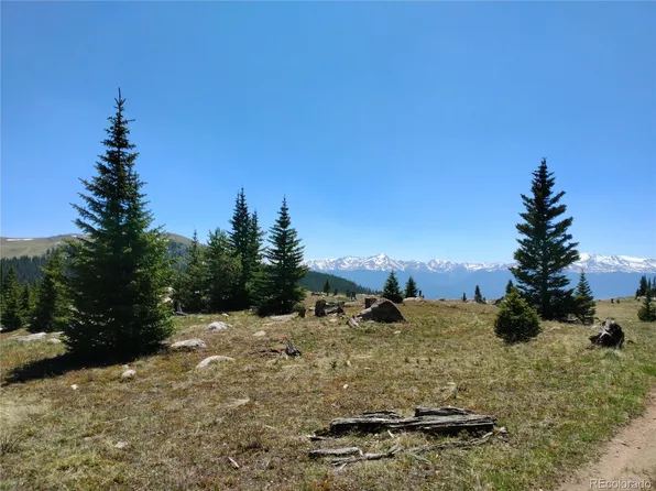 2465 William Pauper, Leadville, CO 80461