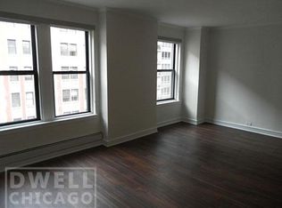 202 E Chestnut St #1BR1BA, Chicago, IL 60611