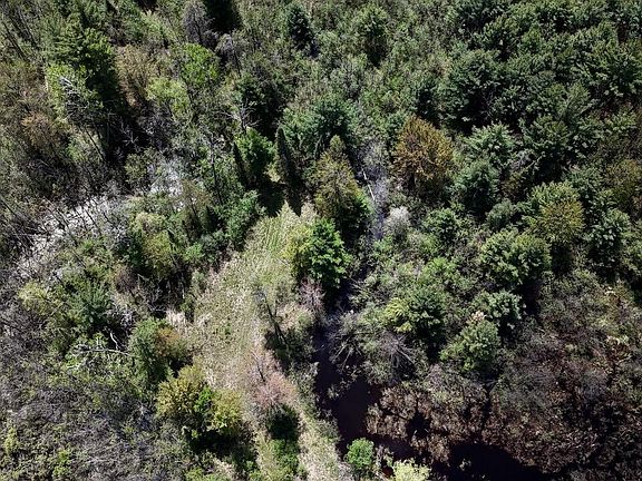 5th image of 5826 S Morrison Rd