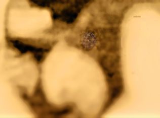 46 Peach Ct, Santa Rosa, CA 95407