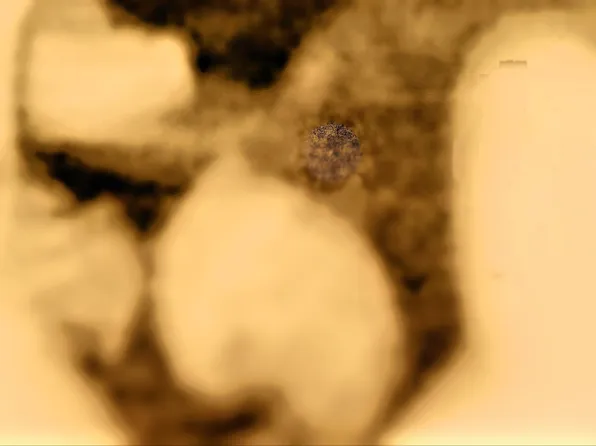 46 Peach Ct, Santa Rosa, CA 95407