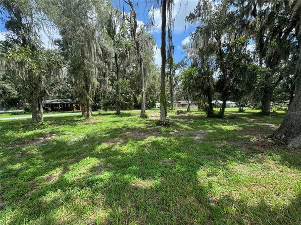 County Road 455 & Cres #454, Lake Panasoffkee, FL 33538