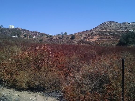 2nd image of 00 Black Canyon Pl