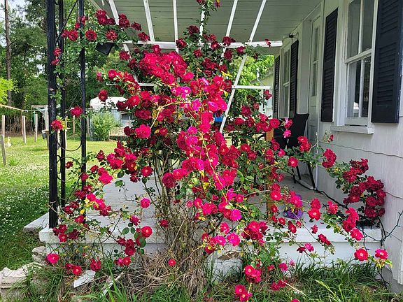 Flower on side porch in Bloom
