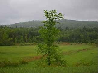 1st image of County Route 1