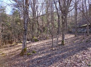 Rustic Log Cabin Rd, Roan Mountain, TN 37687