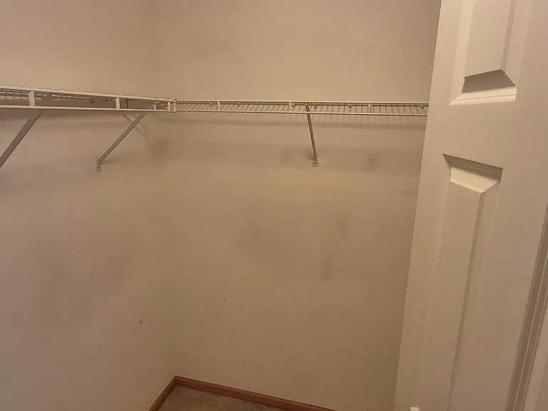 2453 Eagle Trace Ln — Photo 10