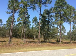 Meadow Wood Rd, Blackshear, GA 31516