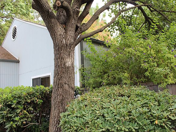 2nd image of 1330 Antelope Ave
