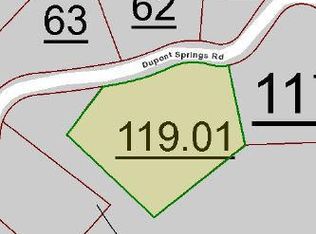 Dupont Springs Rd, SEVIERVILLE, TN 37876