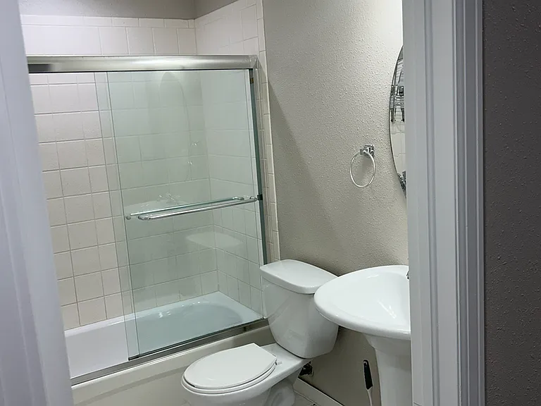 Lower Level Bathroom