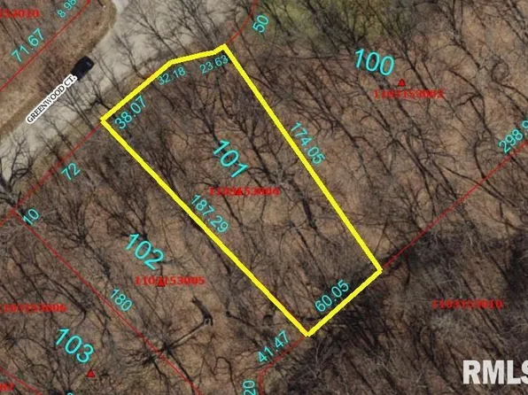 101 Greenwood Pl, Dahinda, IL 61428