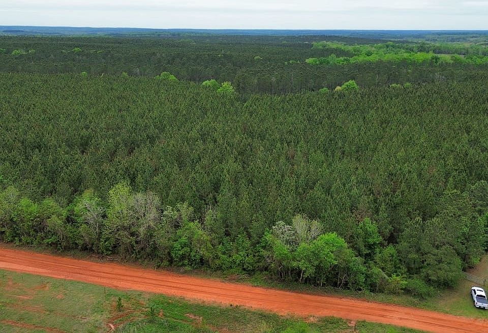 Dji Fly 20260406 125056 608 1775495116751 Photo Optimized