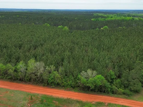 77 Oak Grove Rd, Cuthbert, GA 39840