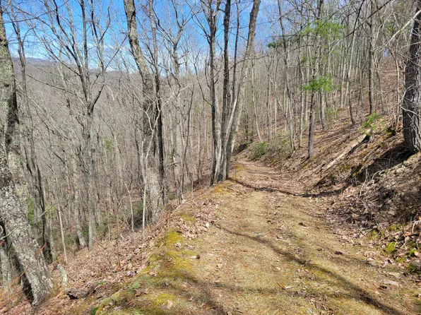 Tuckahoe Rd, White Sulphur Springs, WV 24986
