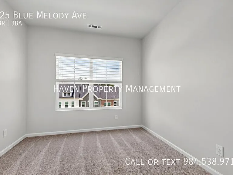 125 Blue Melody Ave — Photo 16