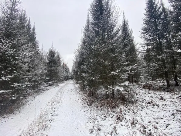 Near6121 Hwy #45, Three Lakes, WI 54562