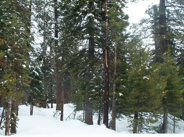 191 Monty Wolf Rd, Bear Valley, CA 95223