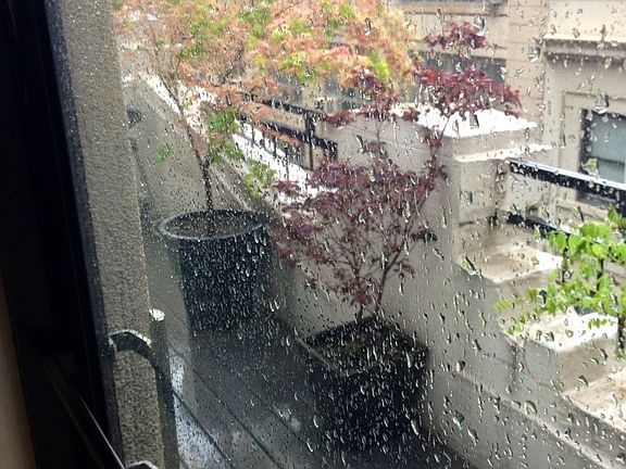 5th image of 81 Nassau St APT 4G