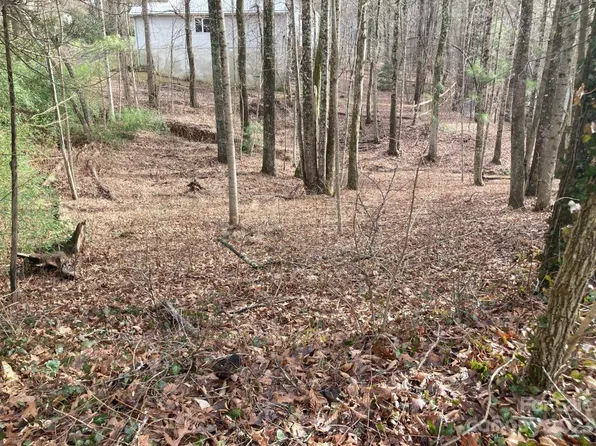 0 Summer Savory Ct #66, Flat Rock, NC 28731