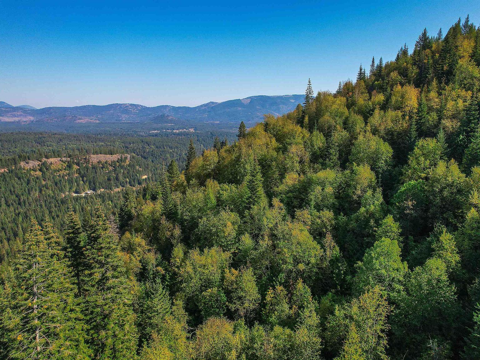 Nka Bodie Canyon Rd, Priest River, ID 83856 MLS 20240627 Zillow