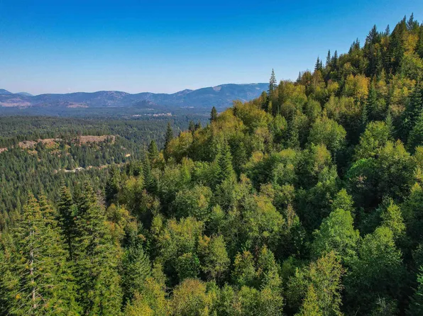 Nka Bodie Canyon Rd, Priest River, ID 83856