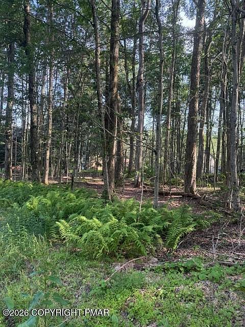 1st image of 15/16 Sweet Briar Rd
