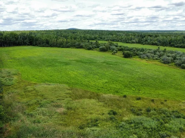 Lot 1C Townline Road, Merrill, ME 04780