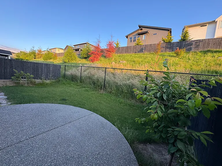272 W Maple St — Photo 30