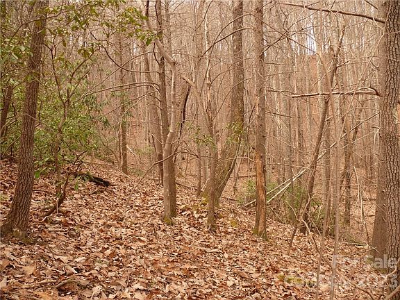 5th image of LOT 42 Flynn Ct