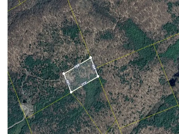 L24.2 Antioch Road, Providence, NY 12850