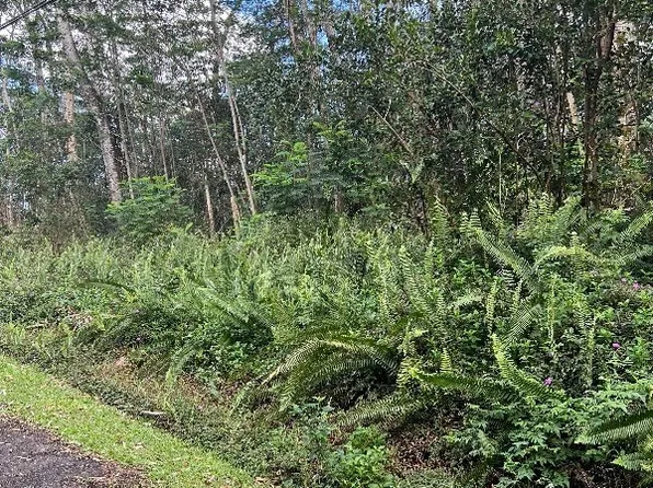 Nohea St Lot 9, Pahoa, HI 96778