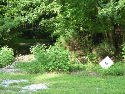 LOT 6 Cove Springs Dr, Dandridge, TN, 37725