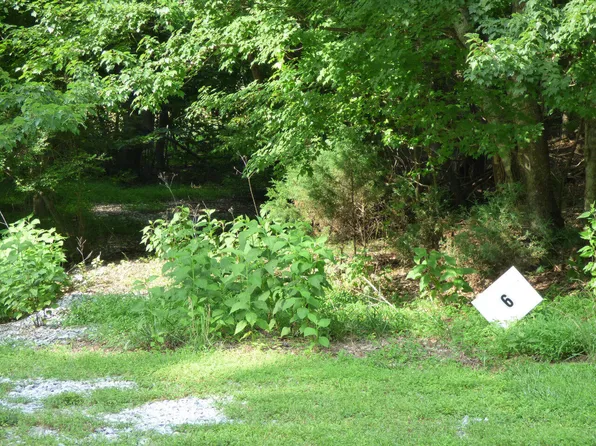 LOT 6 Cove Springs Dr, Dandridge, TN 37725