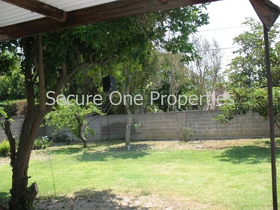 Back Yard from Patio