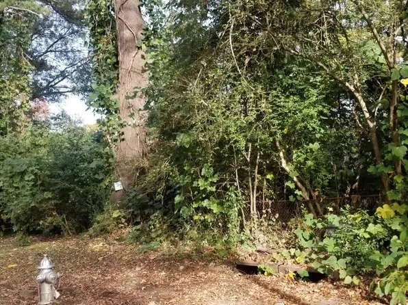 1387 Mims St SW, Atlanta, GA 30314