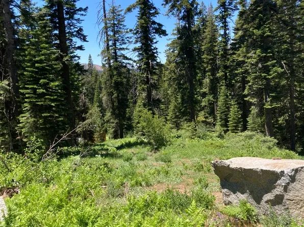 352 Norton Meadows Rd, Bucks Lake, CA 95971