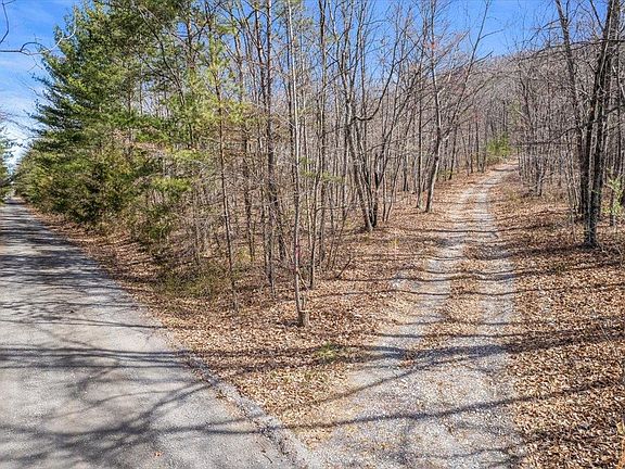 2nd image of 179 Black Bear Ln